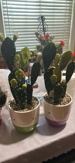 Fake Cactus Decorations