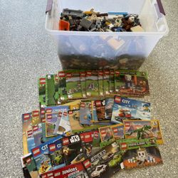 Lego Bulk Lot 21.6 Pounds Dozens Of Sets