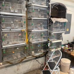 Birds Cages For Sales 