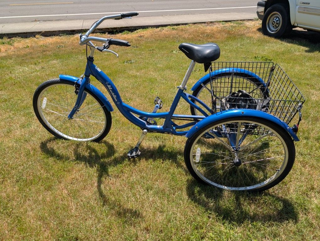 Adult Trike