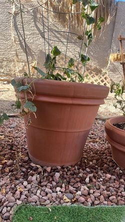 2ft tall and wide stick garden pot