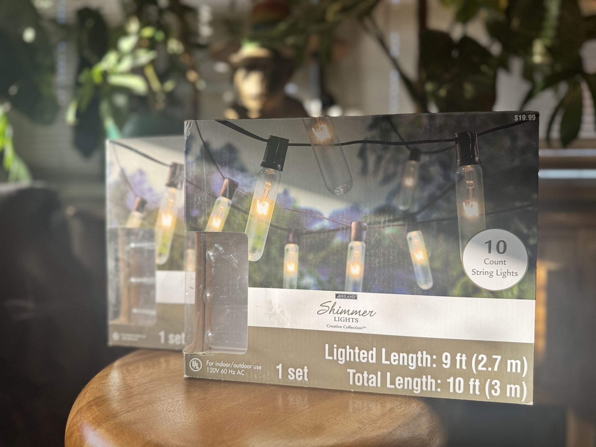 Indoor Outdoor Decorative String Lights Brand New In Box