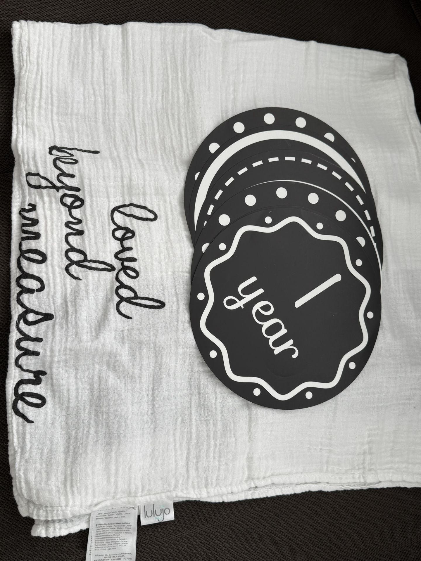 Baby Milestone Blanket