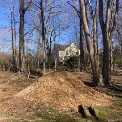 Wood Chip Mulch