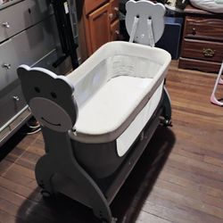 Cute Baby Bassinet $25