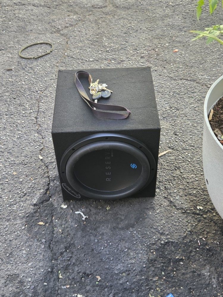 Speaker 12 Inch