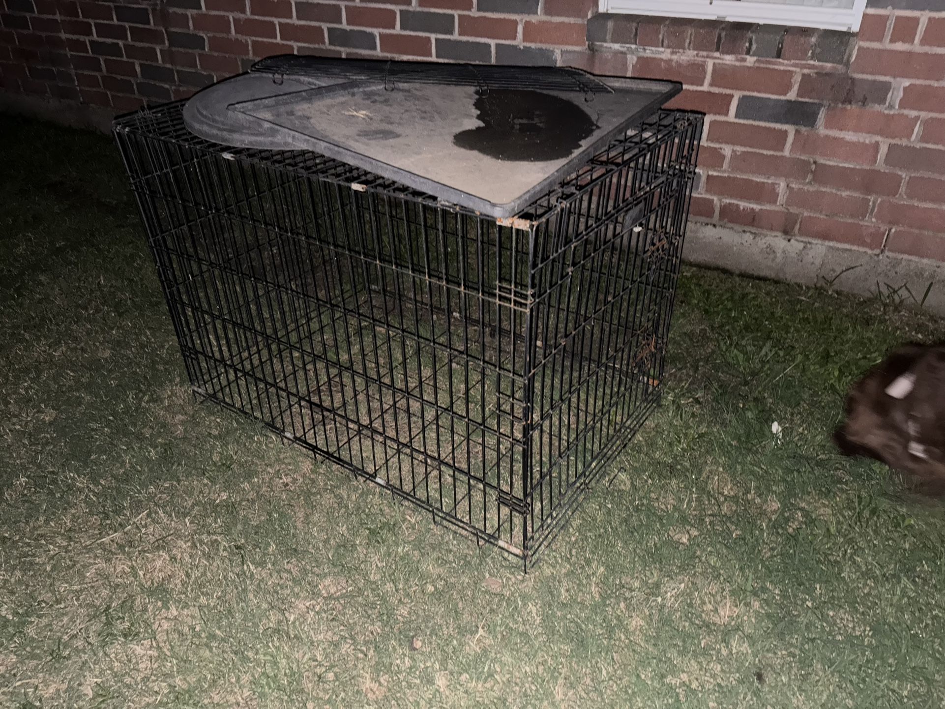 Large Dog Crate