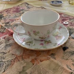 Bavarian Cup And Saucer