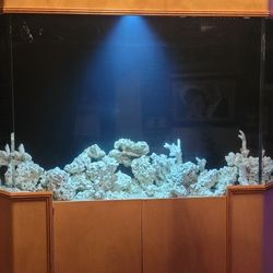500 GALLON Aquarium 