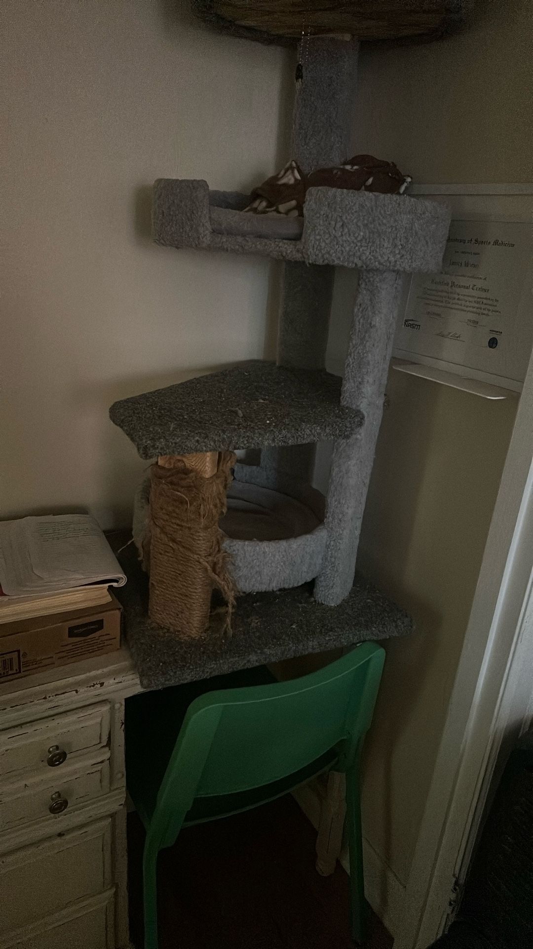 Cat Play Structure