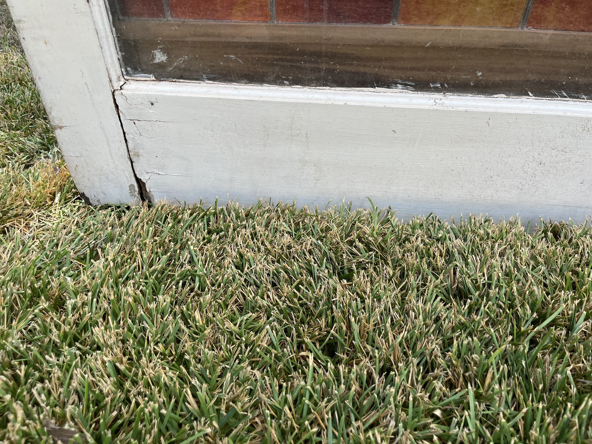 Decorating Glass Door  32x80