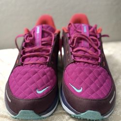 Nike Air Winflo 11 Gore-Tex SE