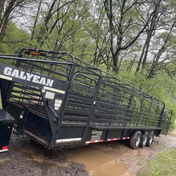 Galyean 28ft Cattle Trailer 