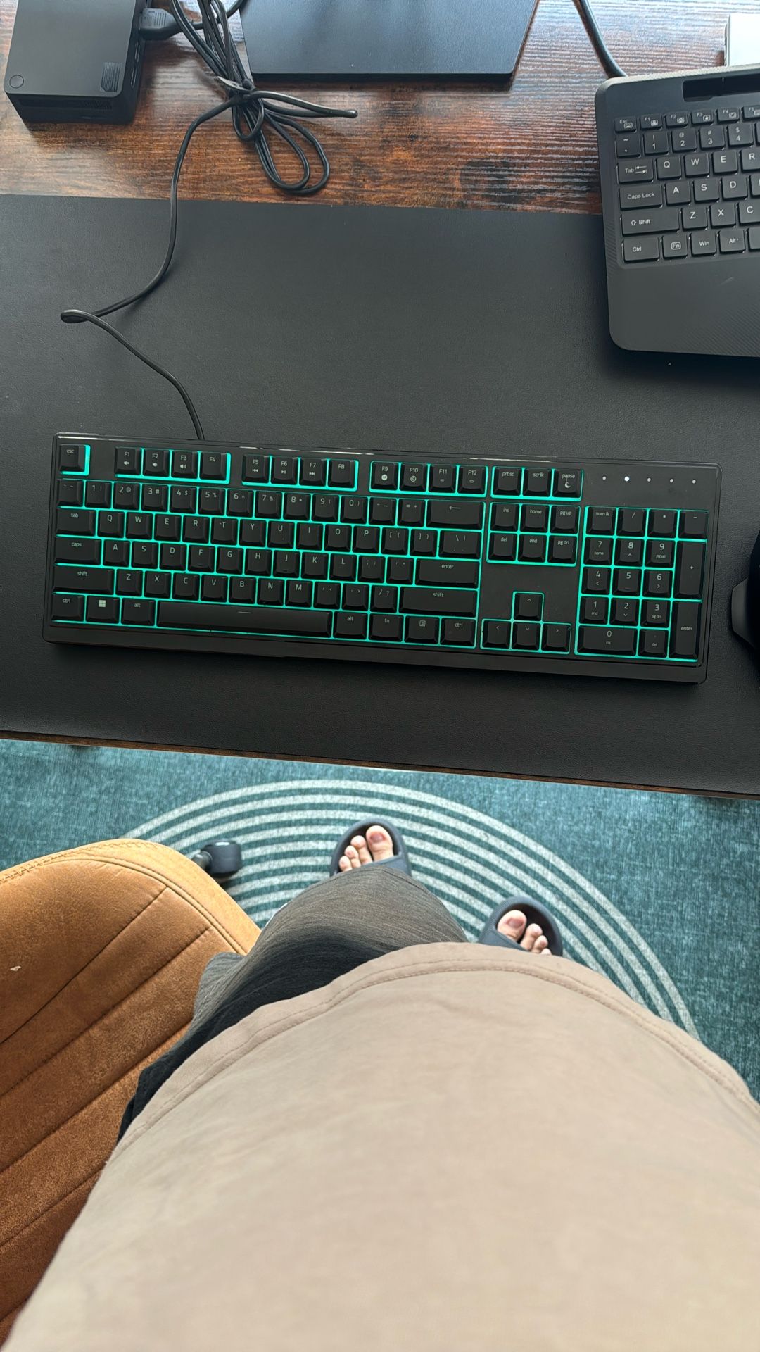 Razer Ornata V3 Gaming Keyboard + Monitor 