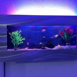 Fish Tank 5gallon  With All