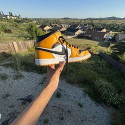 Jordan Retro High OG TAXI