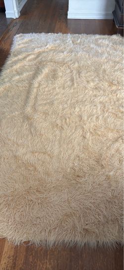 Shag Rug with Non-Slip Rug Pad
