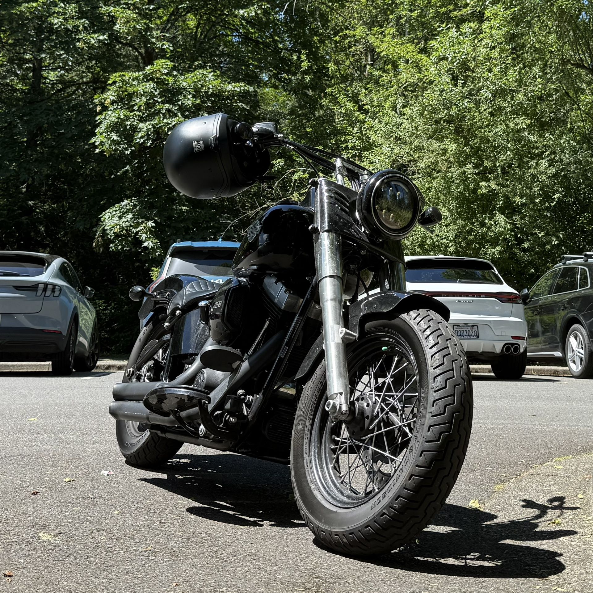 2017 Harley Davidson FLS