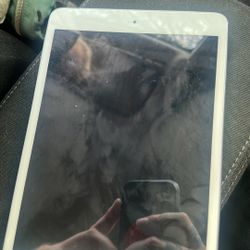 iPad Mini