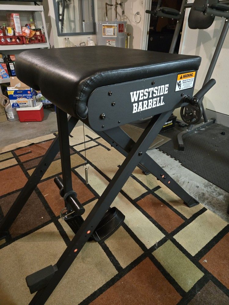 Westside Barbell Reverse Hyper
