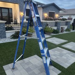 6 Foot Louisville Ladder