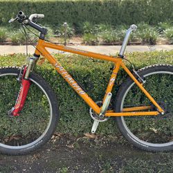 Vintage 1998 Specialized Stumpjumper: Perfect Project Bike