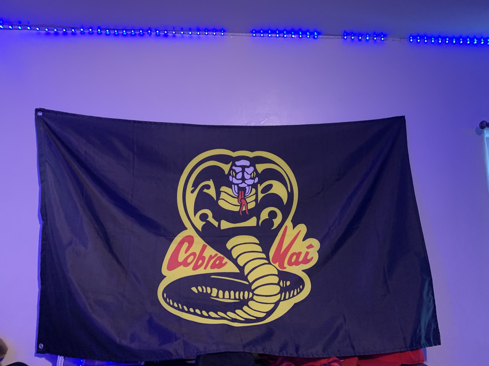 Cobra Kai  The Banner