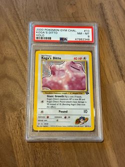 Psa 8 Kogas ditto