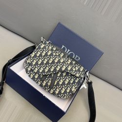 Saddle Elegance Dior Bag 