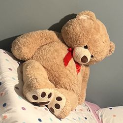 5 Feet Teddy Bear
