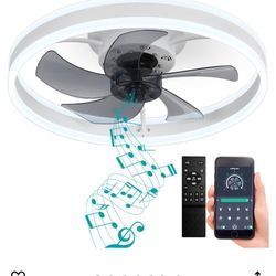 Flush Mount Ceiling Fan With Lights and Bluetooth Speaker