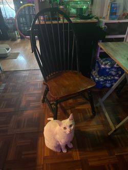 Kitchen chairs