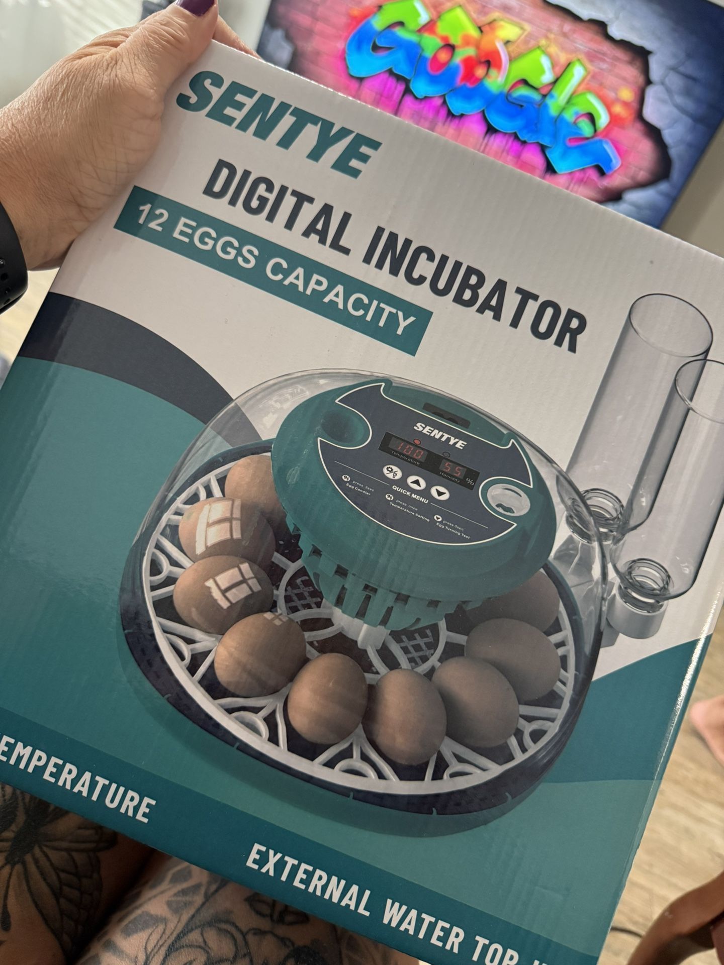 12 Egg Incubator with Automatic Egg Turning and Humidity Control, Egg Incubators for Hatching Eggs, Incubator for Chicken Eggs, Quail Eggs