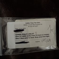 cerenia for Cats Nauseous