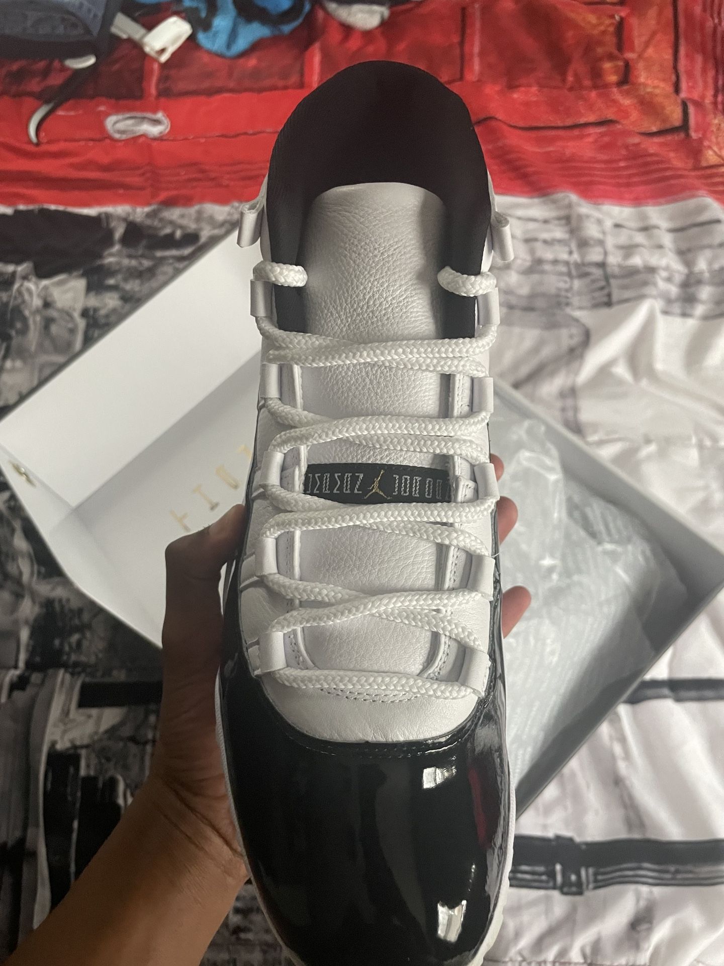 Brand New Jordan 11 size 12