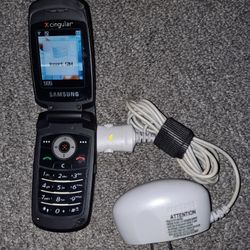 Samsung Cingular Flip Phone