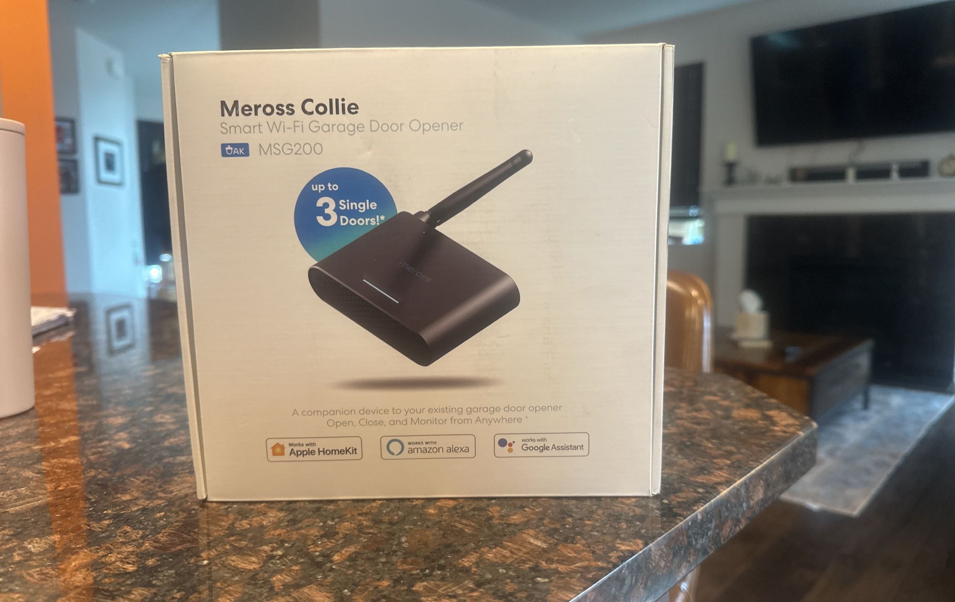 Smart WIFI Garage Door Opener
