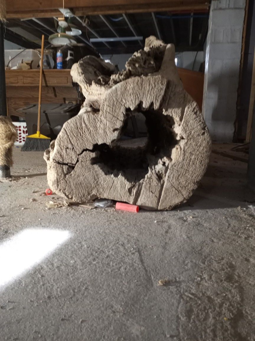 Drift Wood