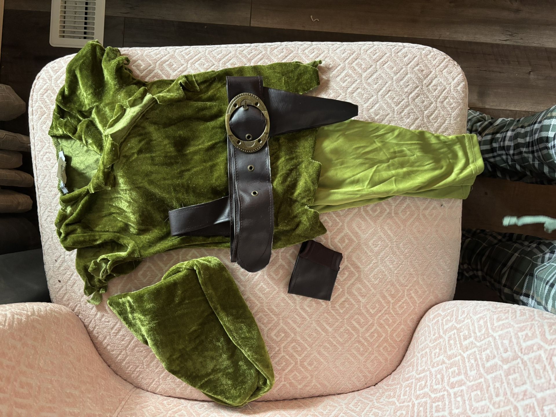 Boy's Toddler Classic Peter Pan Costume - 2-3T