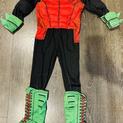 Halloween Robin Costume