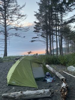 Gannet 4 Person Tent