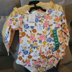 Carters 18 Month 4 Piece Baby Girl Outfit