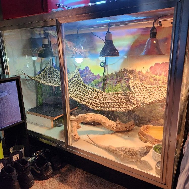 Reptile Enclosure for Sale in Mesa, AZ - OfferUp