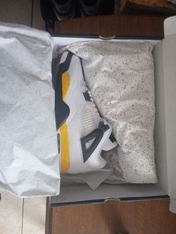 Air Jordan 4 "Tour"