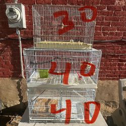 For Sale