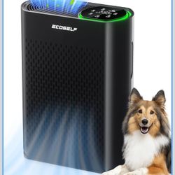 Air Purifiers for Home