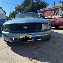 2006 Ford Mustang