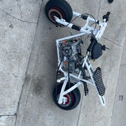 212cc Predator Pocket Custom Build 