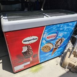Icecream Refrigerator 