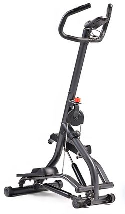 Sunny exercise stepper